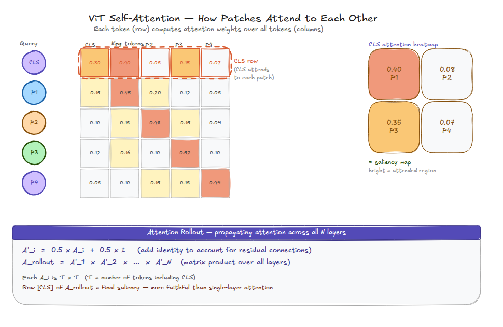 ViT self-attention matrix and CLS heatmap
