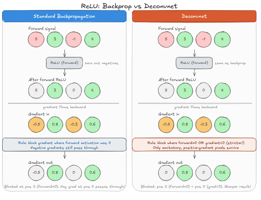 Backpropagation vs Deconvnet ReLU handling