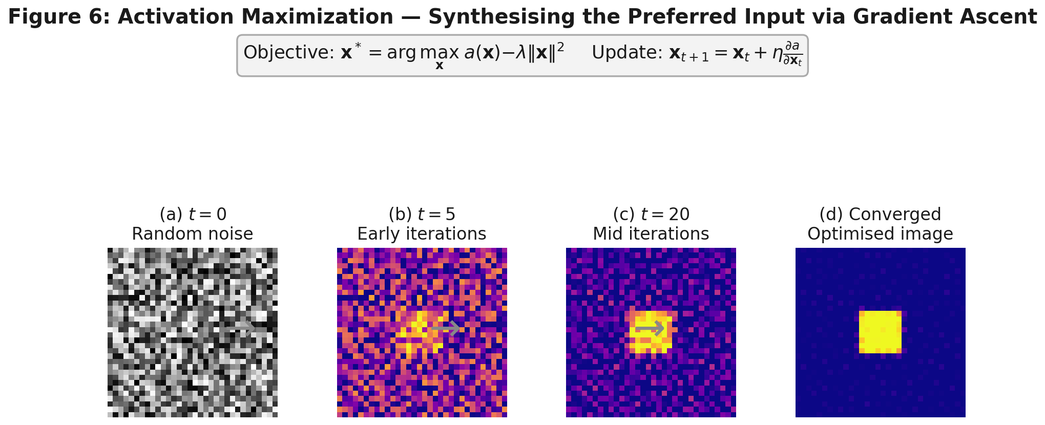Activation maximization: evolution from noise to converged image
