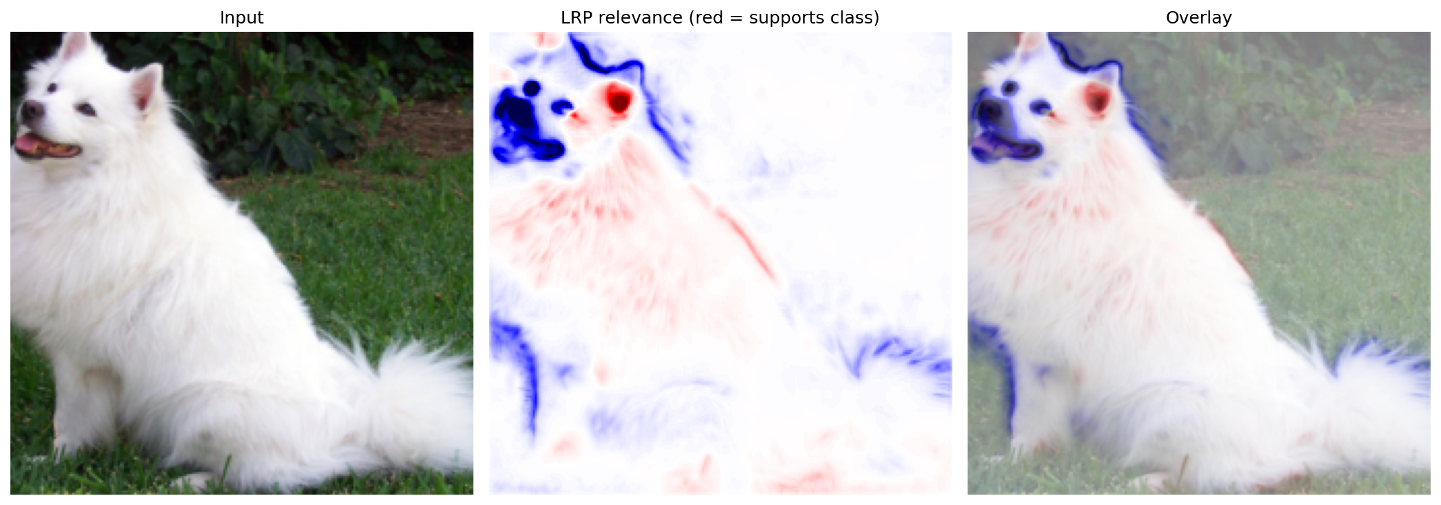 LRP relevance overlay