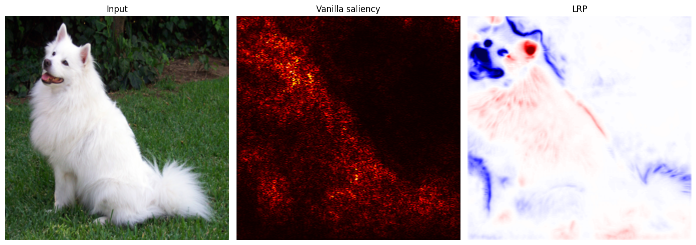LRP relevance map vs vanilla saliency