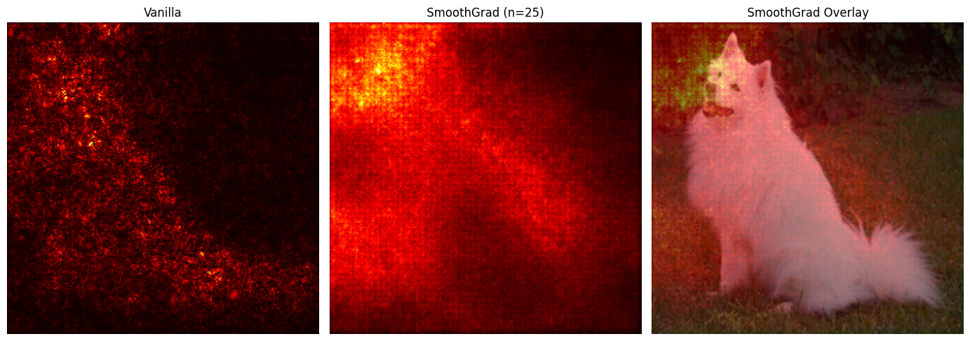 SmoothGrad vs vanilla saliency
