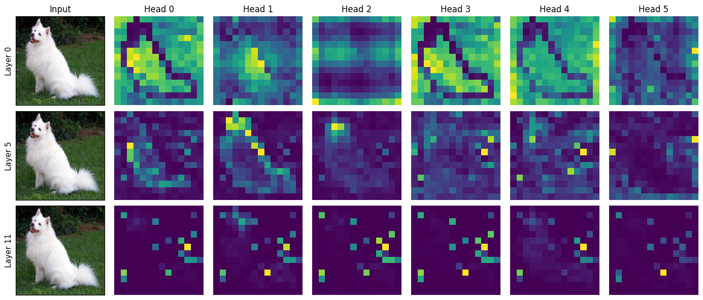 Per-head CLS attention maps across layers