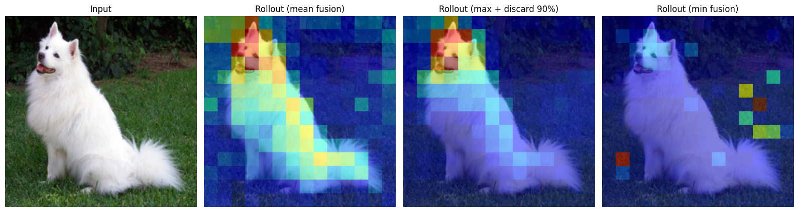 Attention rollout with different head fusion strategies