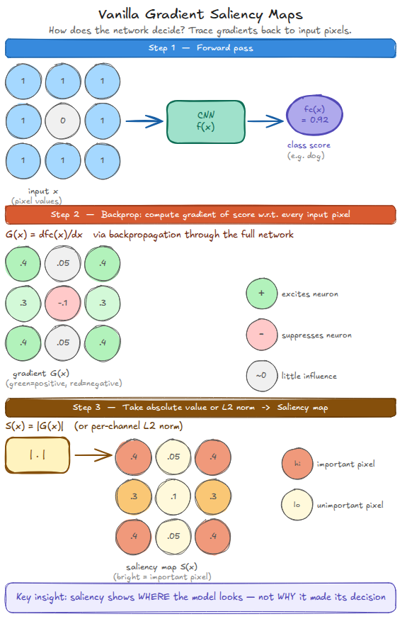 Vanilla gradient saliency: pipeline from input to map